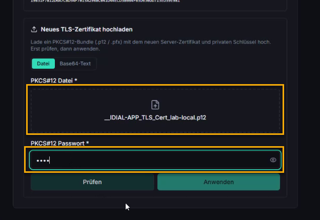 PKCS12 Datei und Passwort eingegeben, Prüfergebnis
