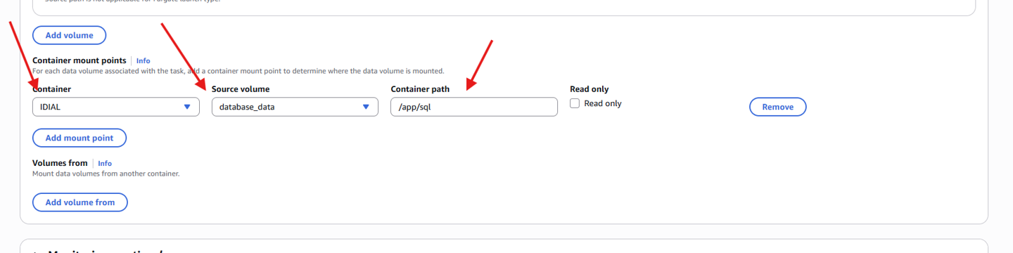 Task Definition – Container mount points